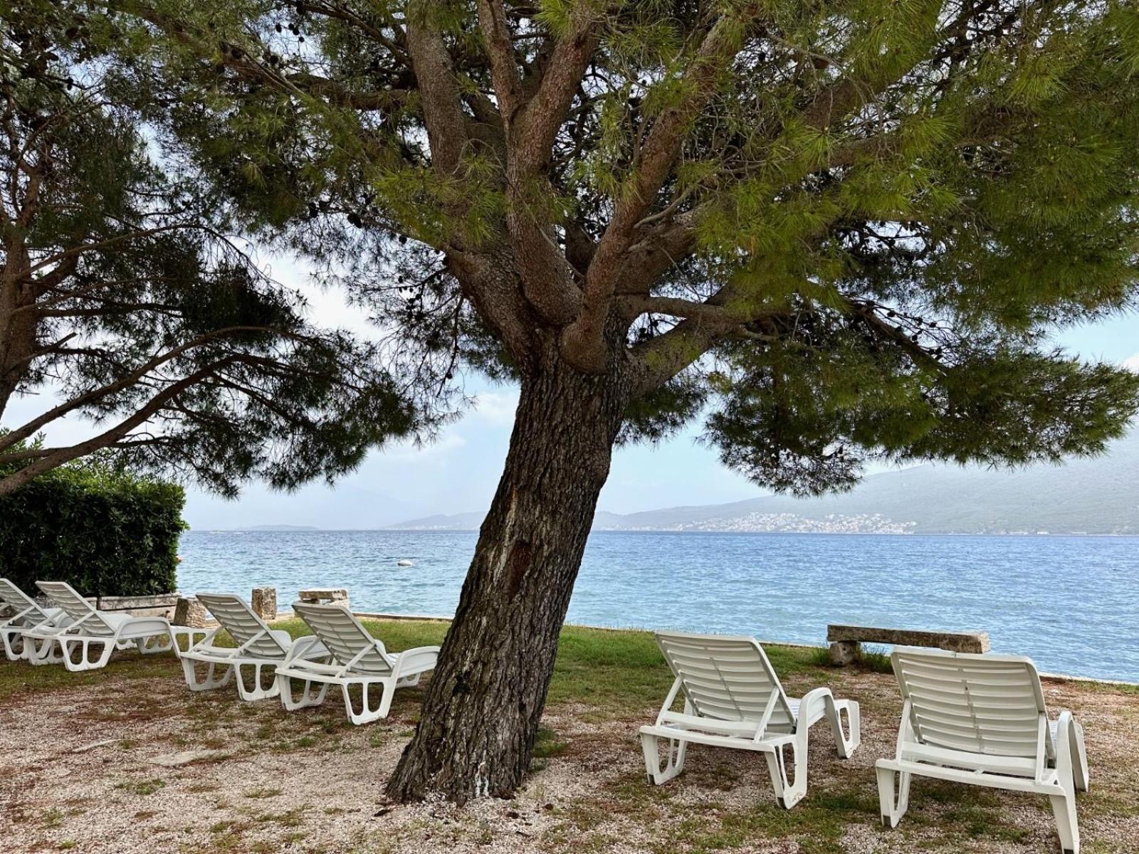 Apartmani Danilovic Herceg Novi Exterior foto