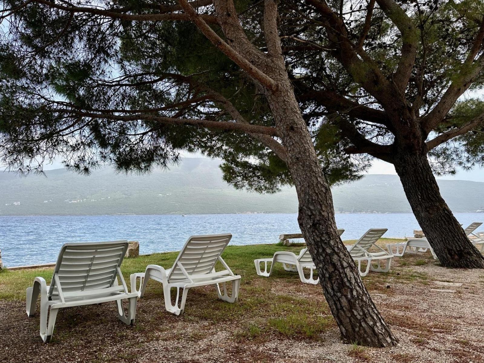 Apartmani Danilovic Herceg Novi Exterior foto